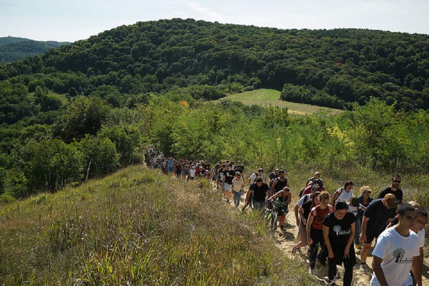 Vojvodina ostaje bez šuma